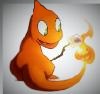 The Charmeleon