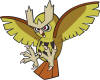 Shiny Noctowl